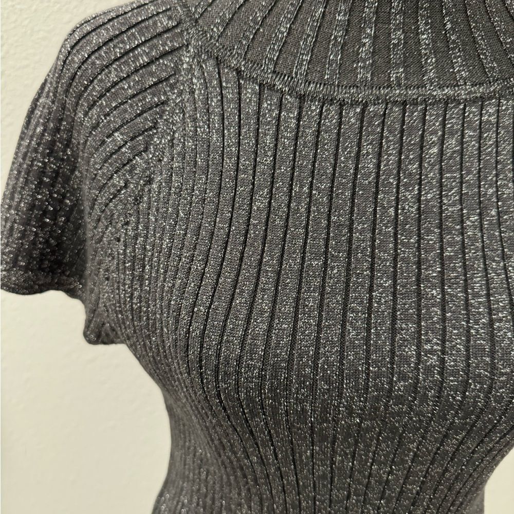 Philosophy Metallic Gray Ribbed Turtleneck Sweater